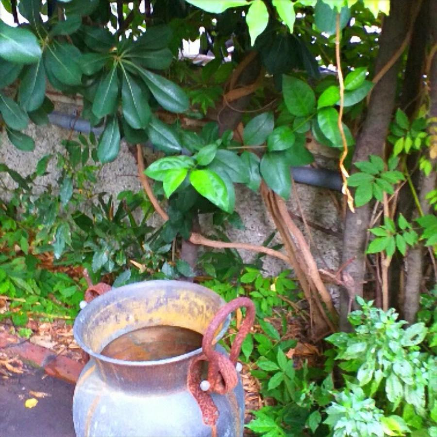 Un Giardino A Due Passi Dal Mare Διαμέρισμα Λα Σπέτσια Εξωτερικό φωτογραφία